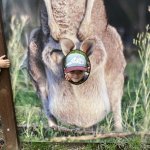 phoca_thumb_m_vlet km 22 Fotogalerie